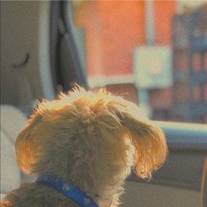 Meet your Posher, Erinn